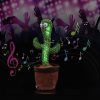 Dancing Cactus Toy